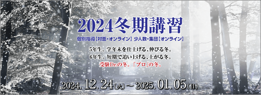 受験Dr.の冬。「プロ」の冬。冬期講習 個別・少人数・集団オンライン授業 2024