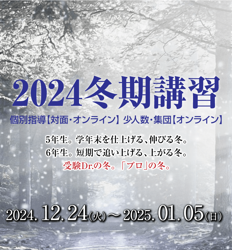 受験Dr.(受験ドクター)の冬。「プロ」の冬。冬期講習　少人数・集団オンライン授業